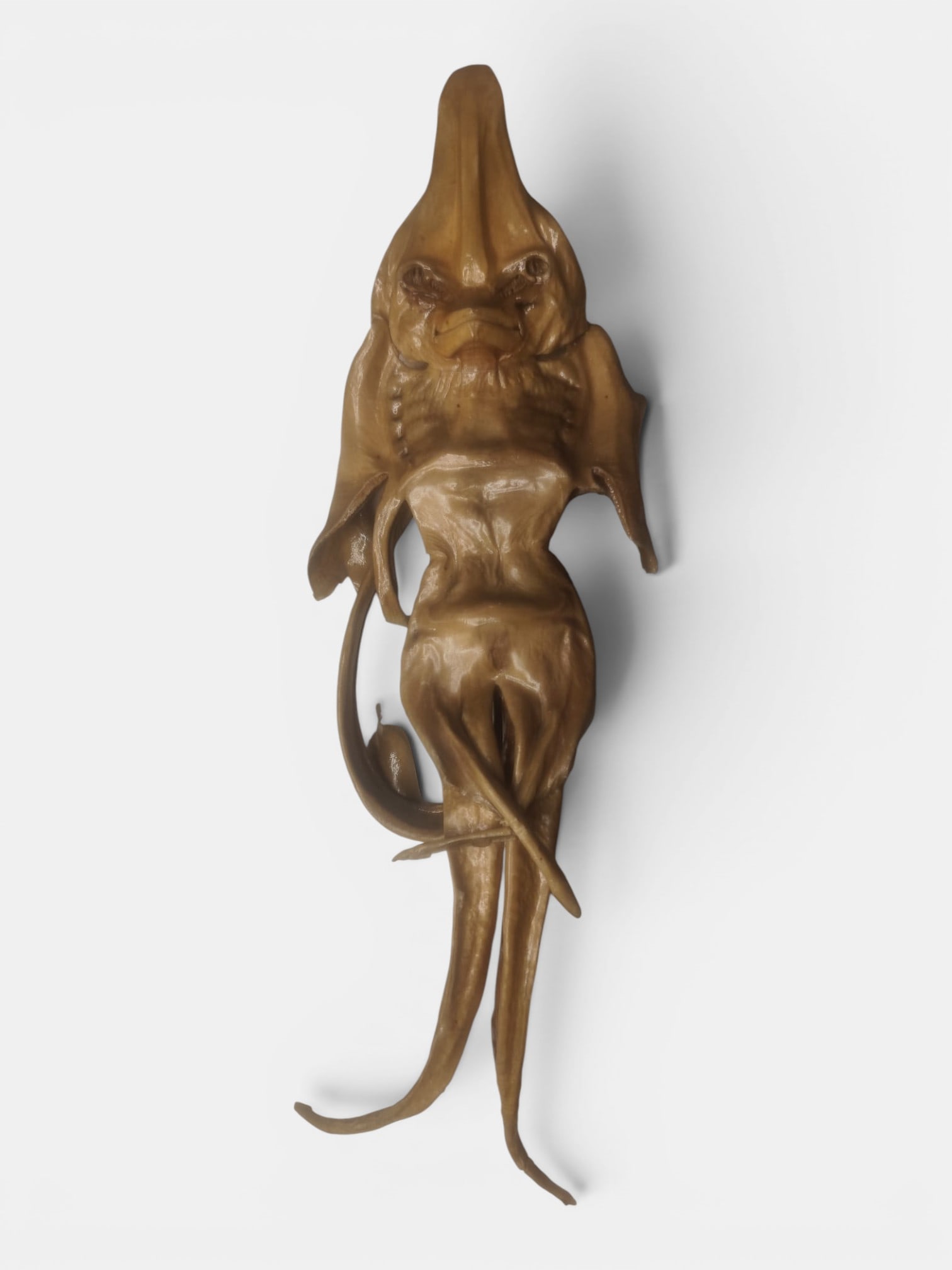 Mermaid of Antwerp for Cabinet of Curiosities, early 20th century: 40 x 12 cm. This striking relic of the maritime imagination, the "Jenny Haniver," is a fascinating piece, born of human ingenuity and an enduring fascination with the mysteries of the ocean. Crafted f