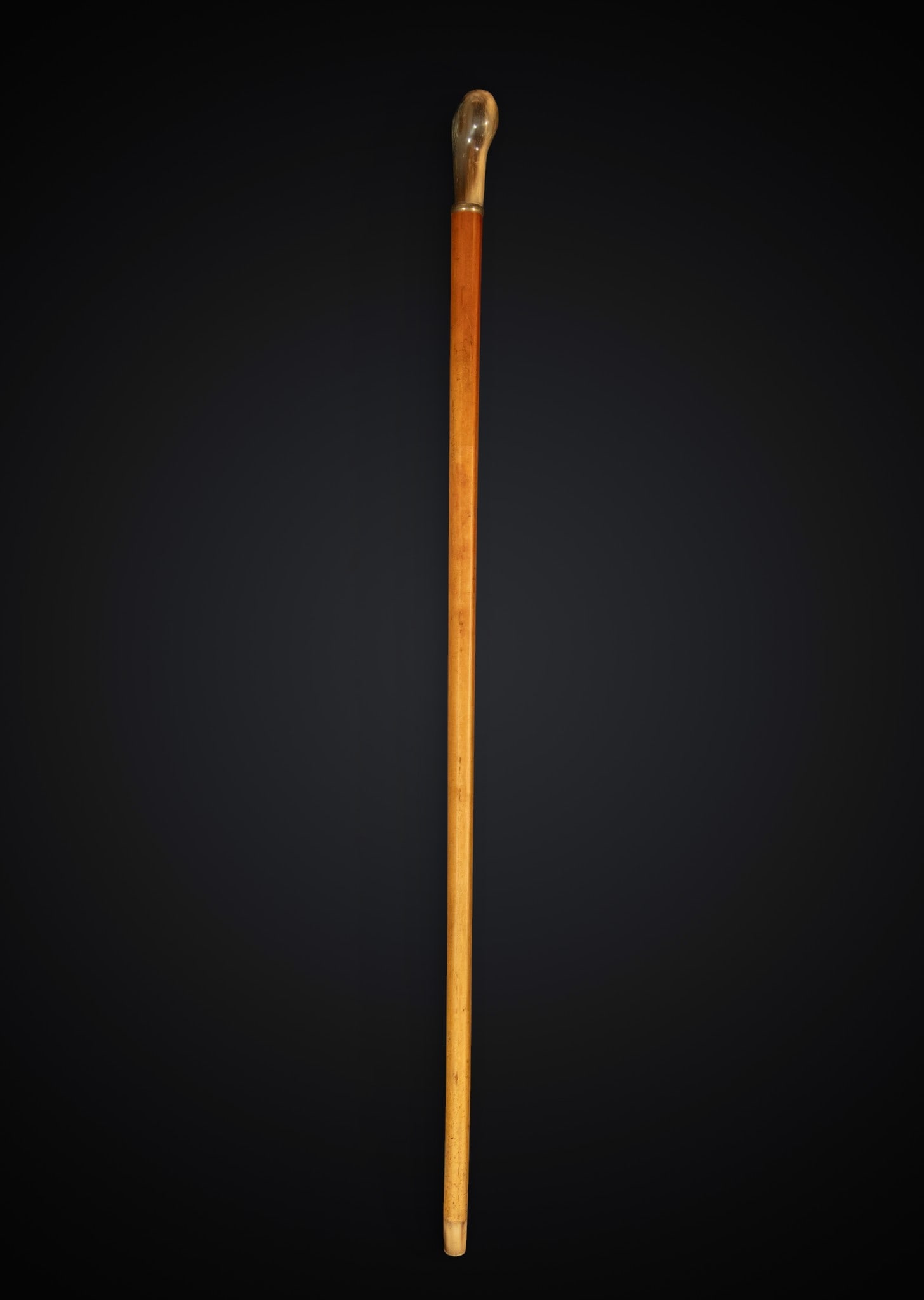 Victorian walking stick in wood and antler: Wood and antler