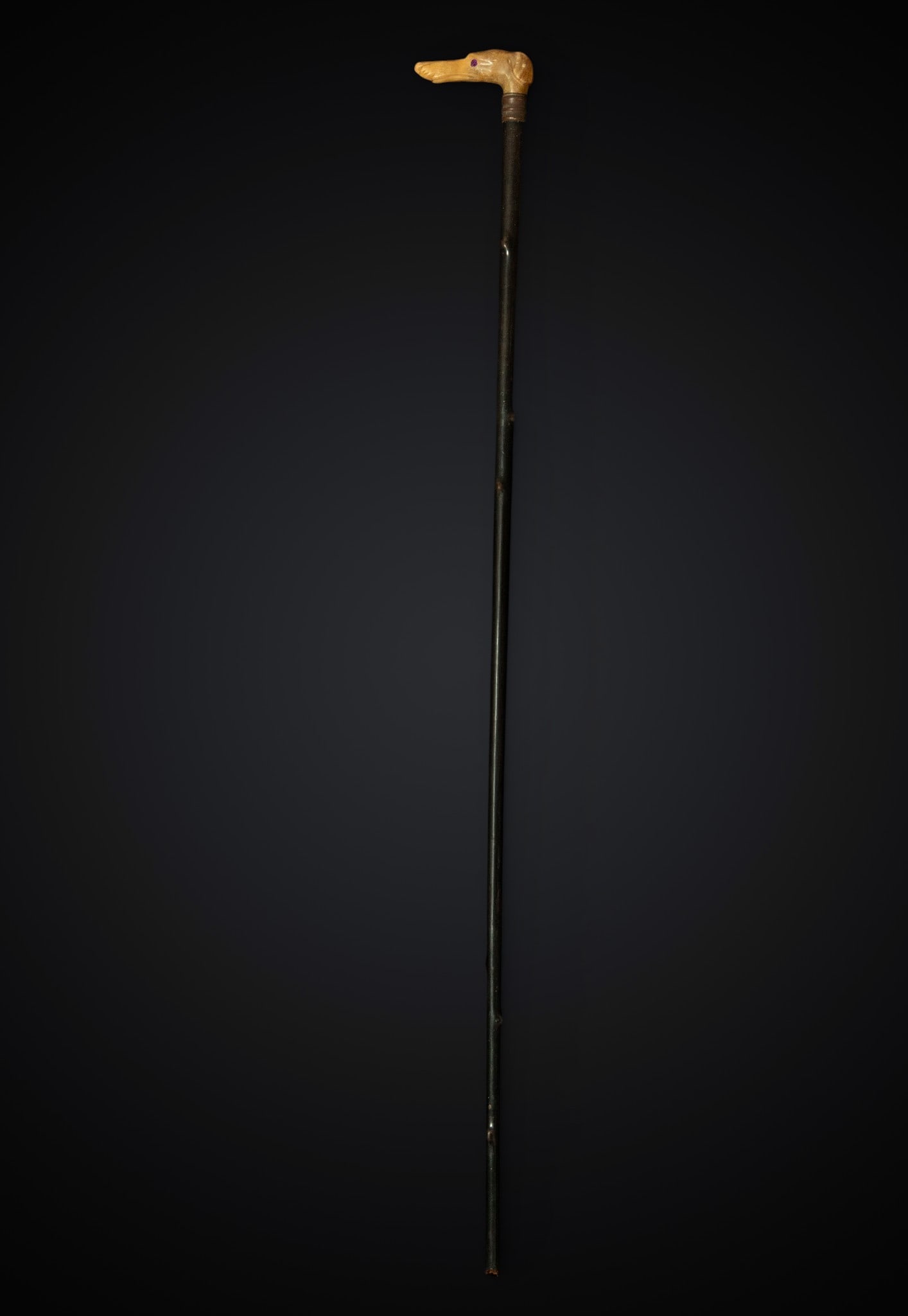 Victorian walking stick with dog's head and shaft. 19th century: Wood and antler