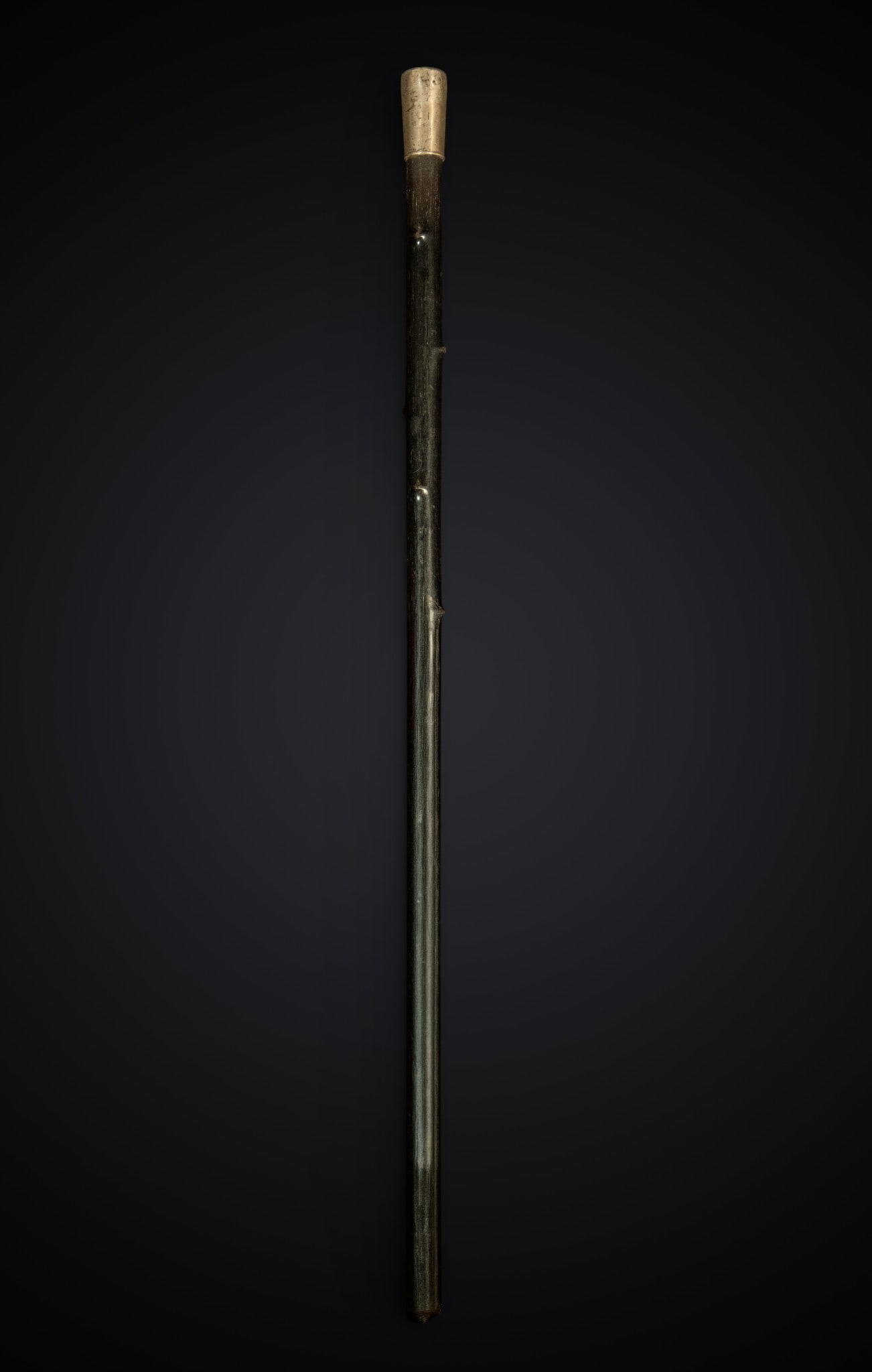Early 20th century metal walking stick: Cylindrical metal and wood