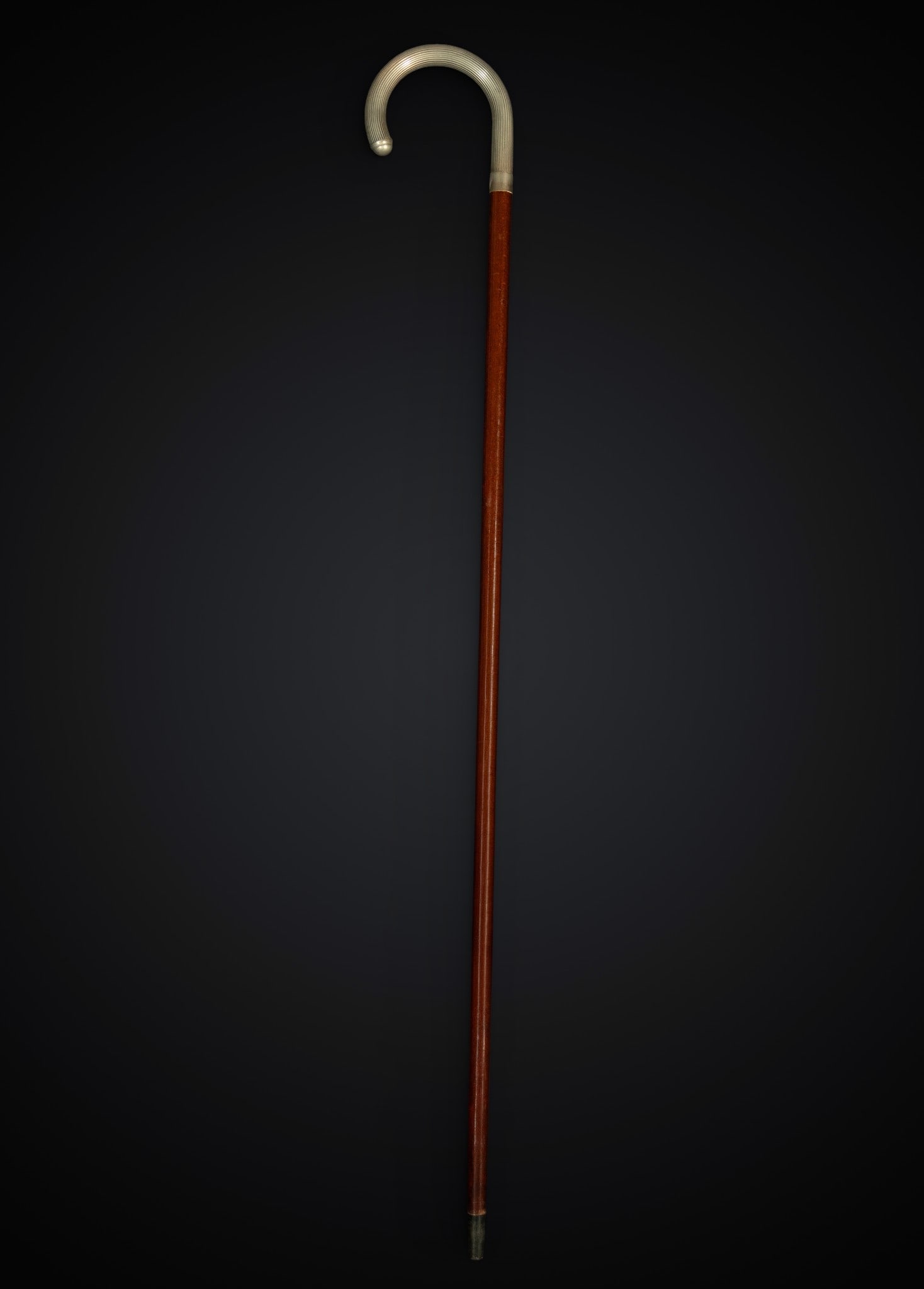 Art Nouveau walking stick in metal and wood: Metal and wood