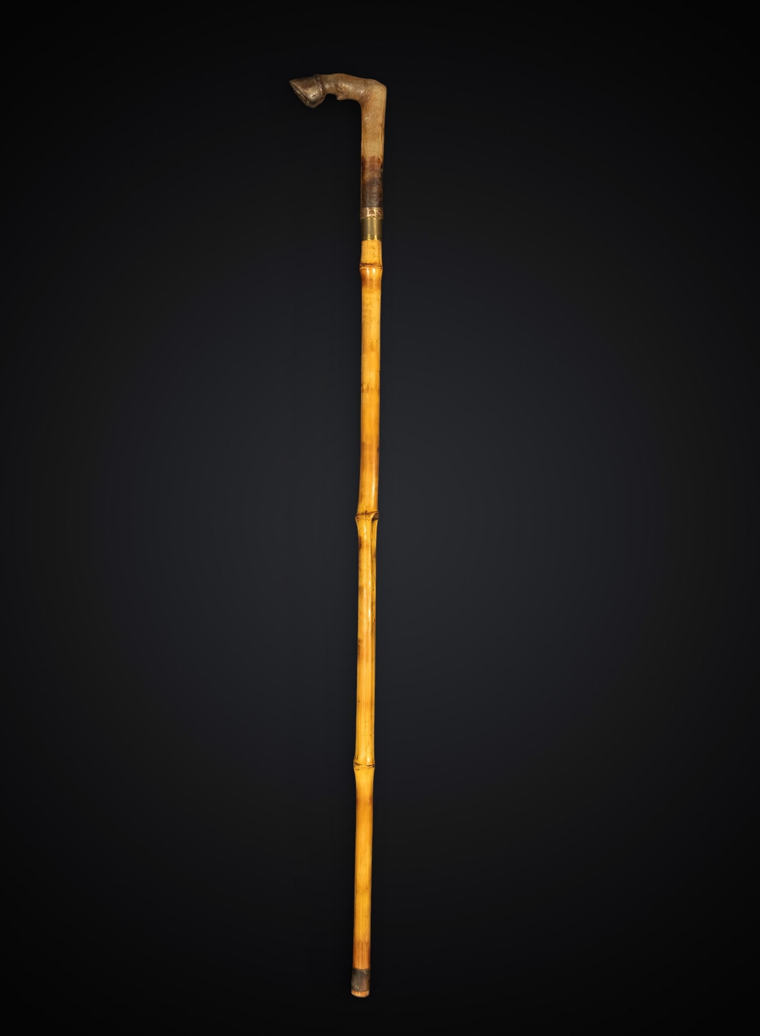 Walking stick with horseshoe and bamboo from the 19th century: Bamboo and wood