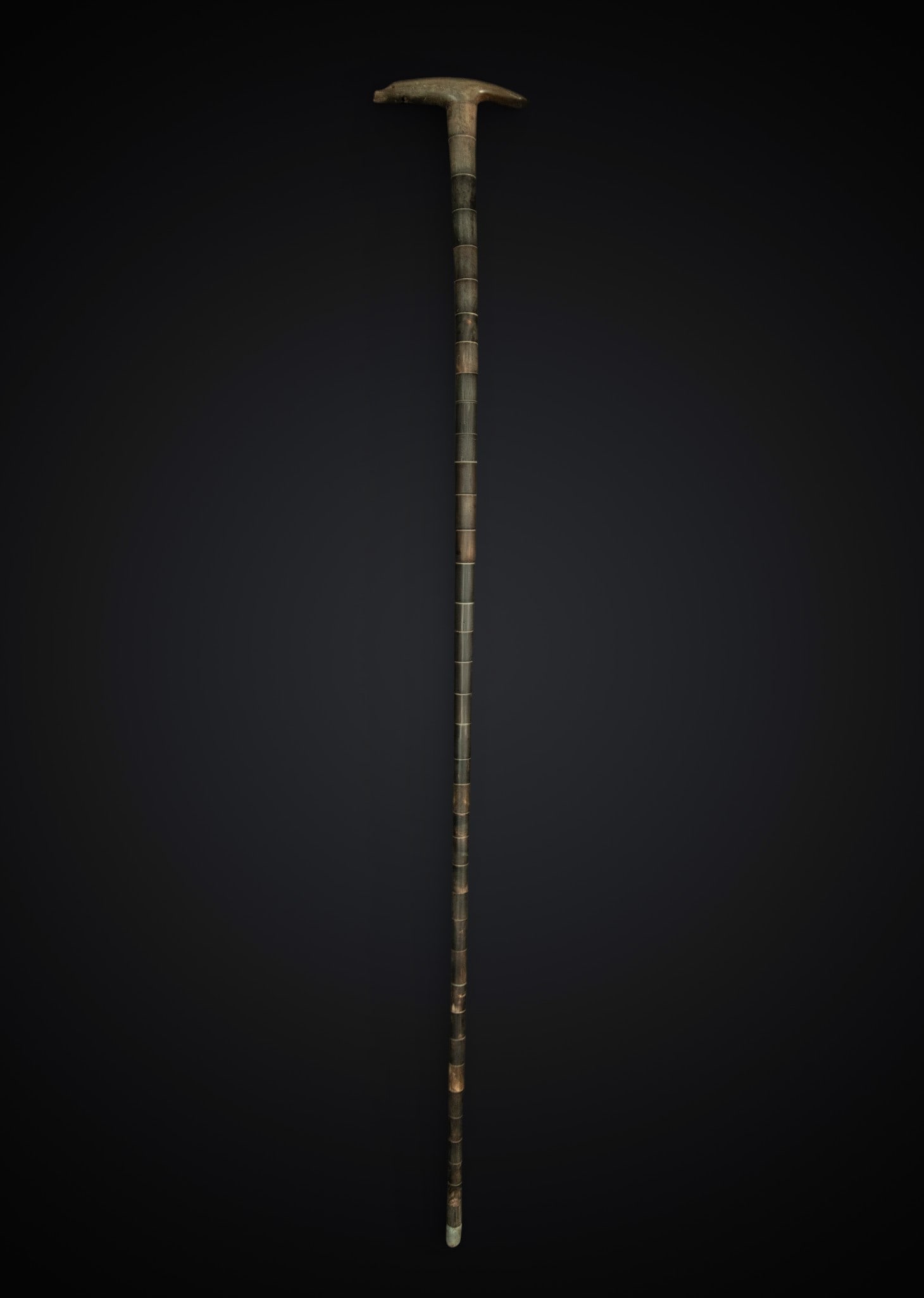 Rare Shepherd's Staff on horn with top whistle (1 of 2)