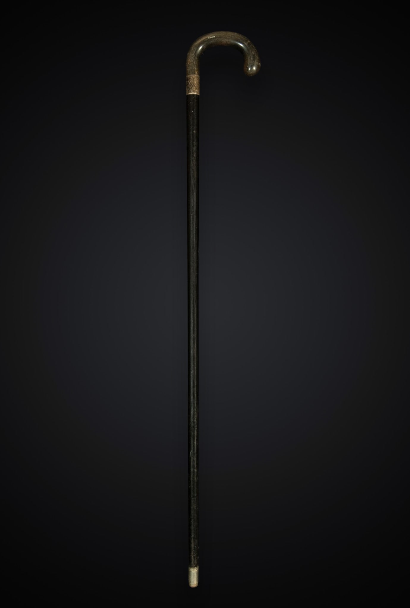 Walking stick with horn handle, 19th century: Horn handle, silver and wood appliqué
