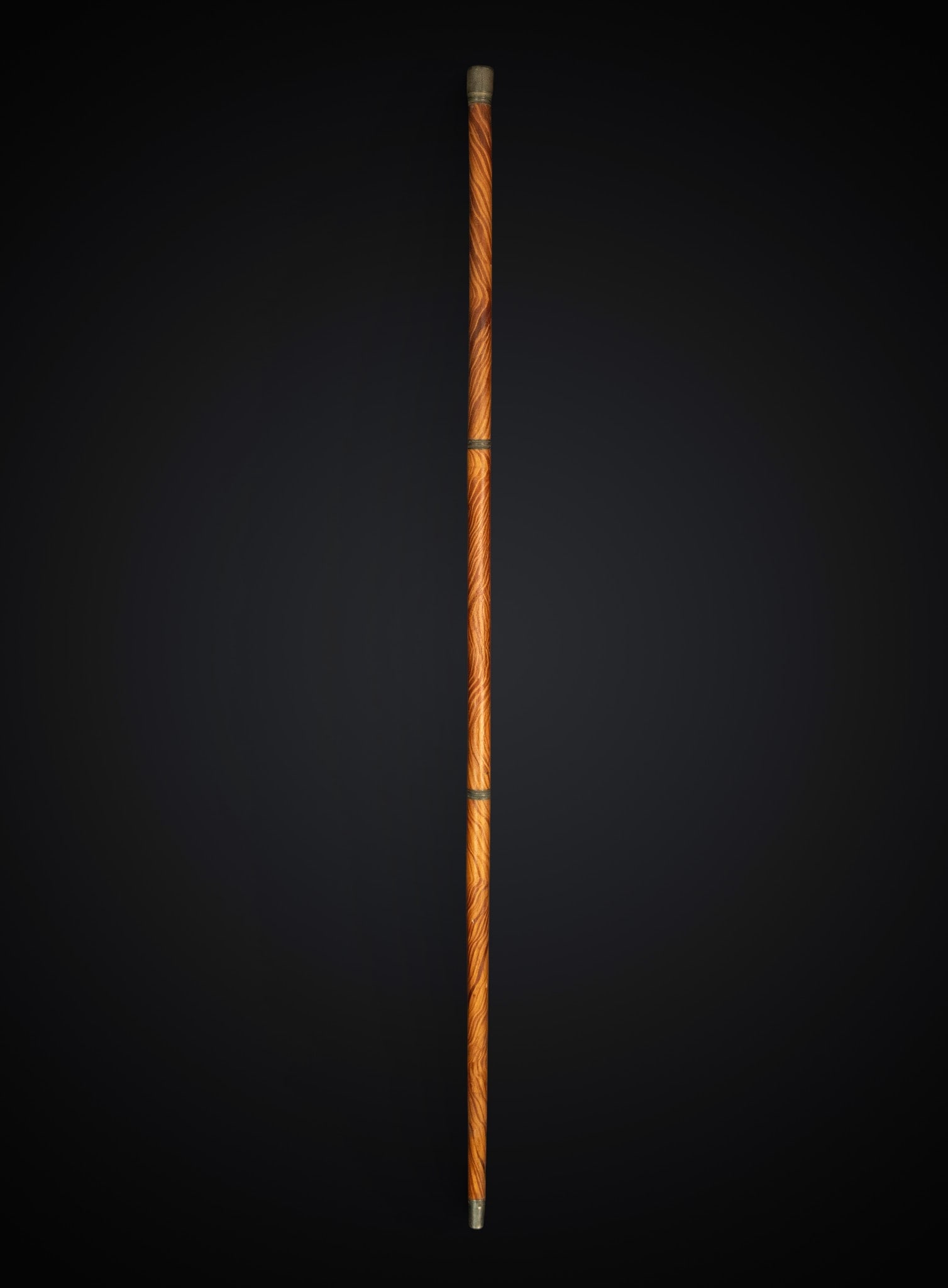 Walking stick in wood and metal: Silver and metal, 19th century