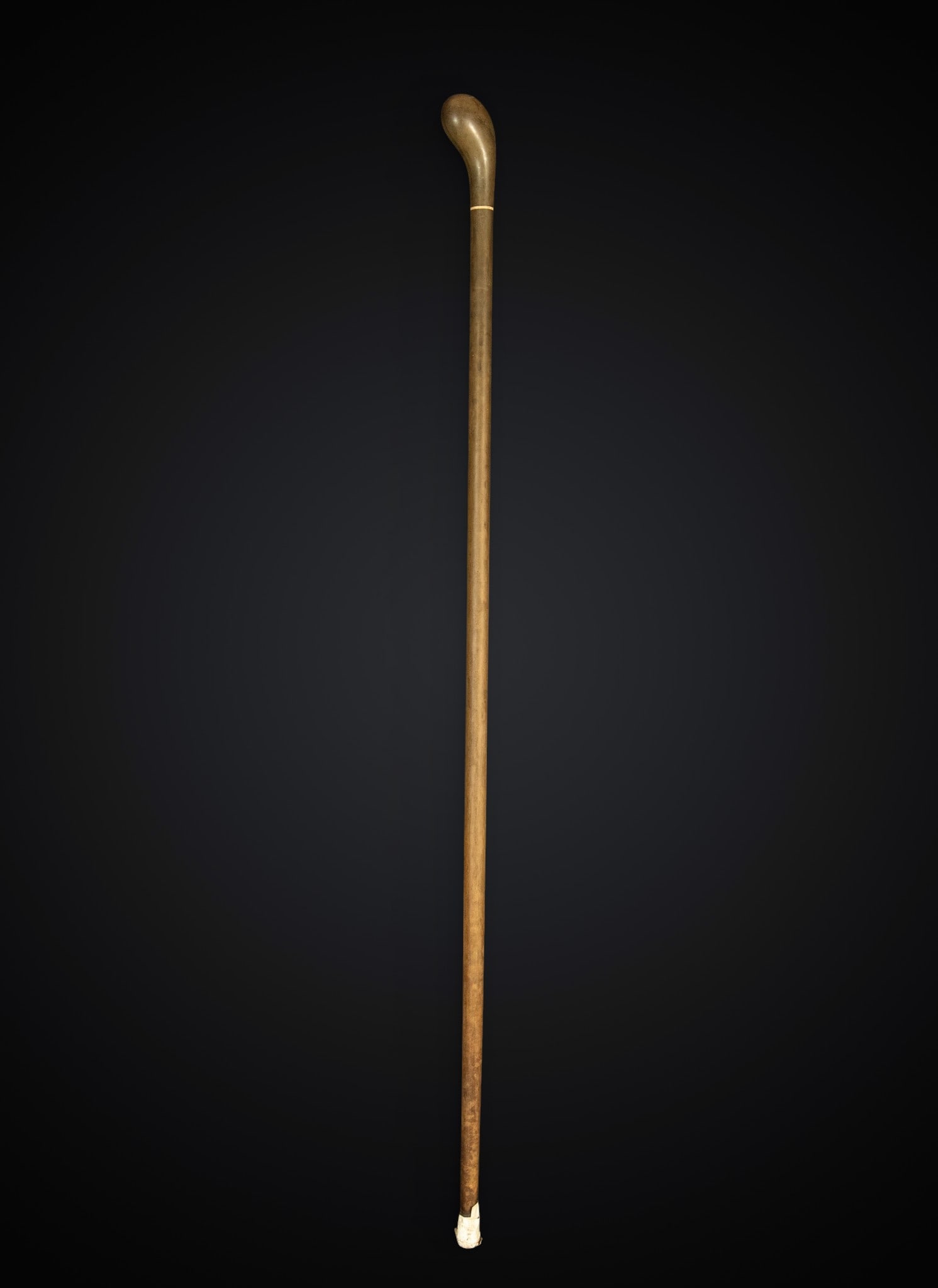 Edwardian walking stick in wood and antler, England: Wood and horn handle