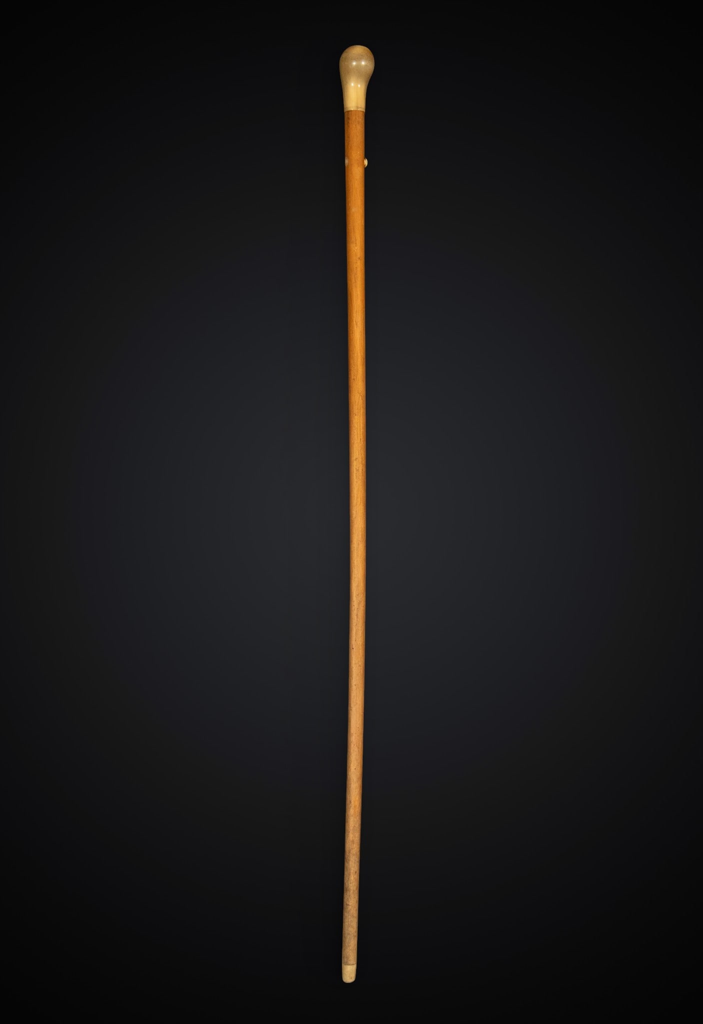 Edwardian walking stick in wood and antler, England: Wood and horn handle