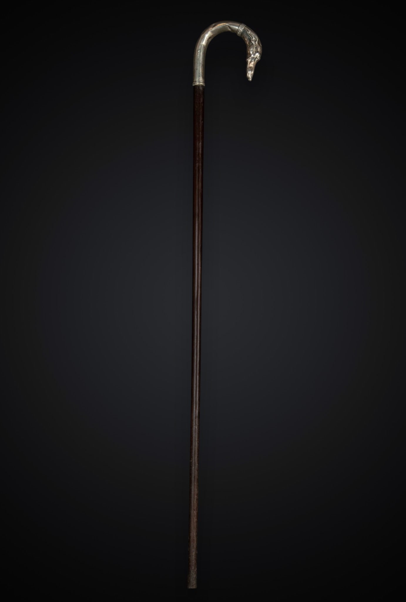 Walking stick with large silver dog handle: Wood and silver