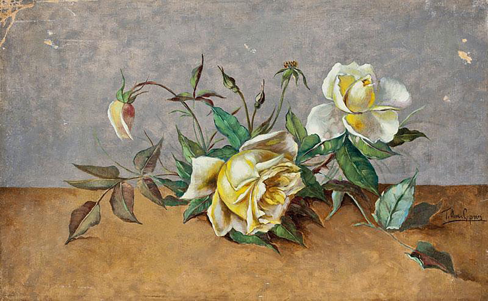 Roses, Signed, Malaga School, 19th Century: Oil on canvas. Floral composition featuring white and yellowish roses arranged horizontally on a neutral background, notable for the delicacy of the modeling and the subtlety of color. The petals are 
