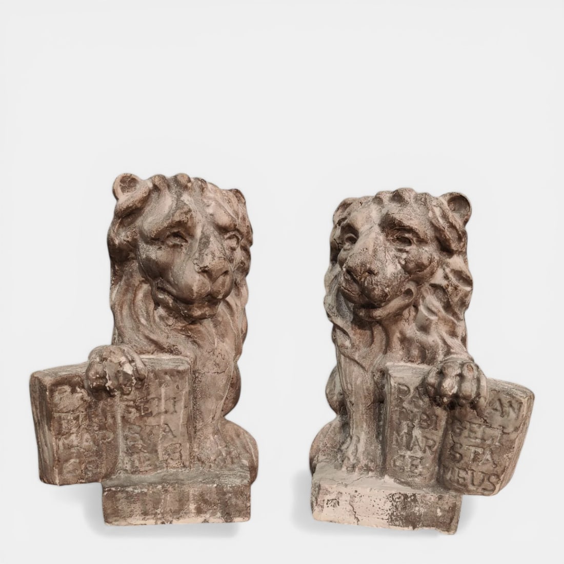 Pair of Venetian lion cubs, Venice, probably 19th century (1 of 6)