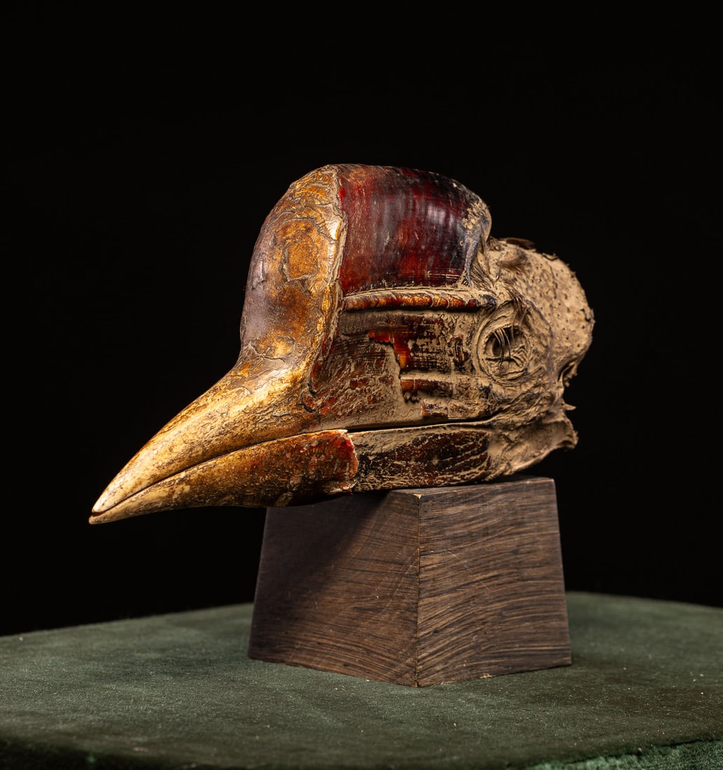 Ancient hornbill skull, Africa, 20th century (1 of 8)
