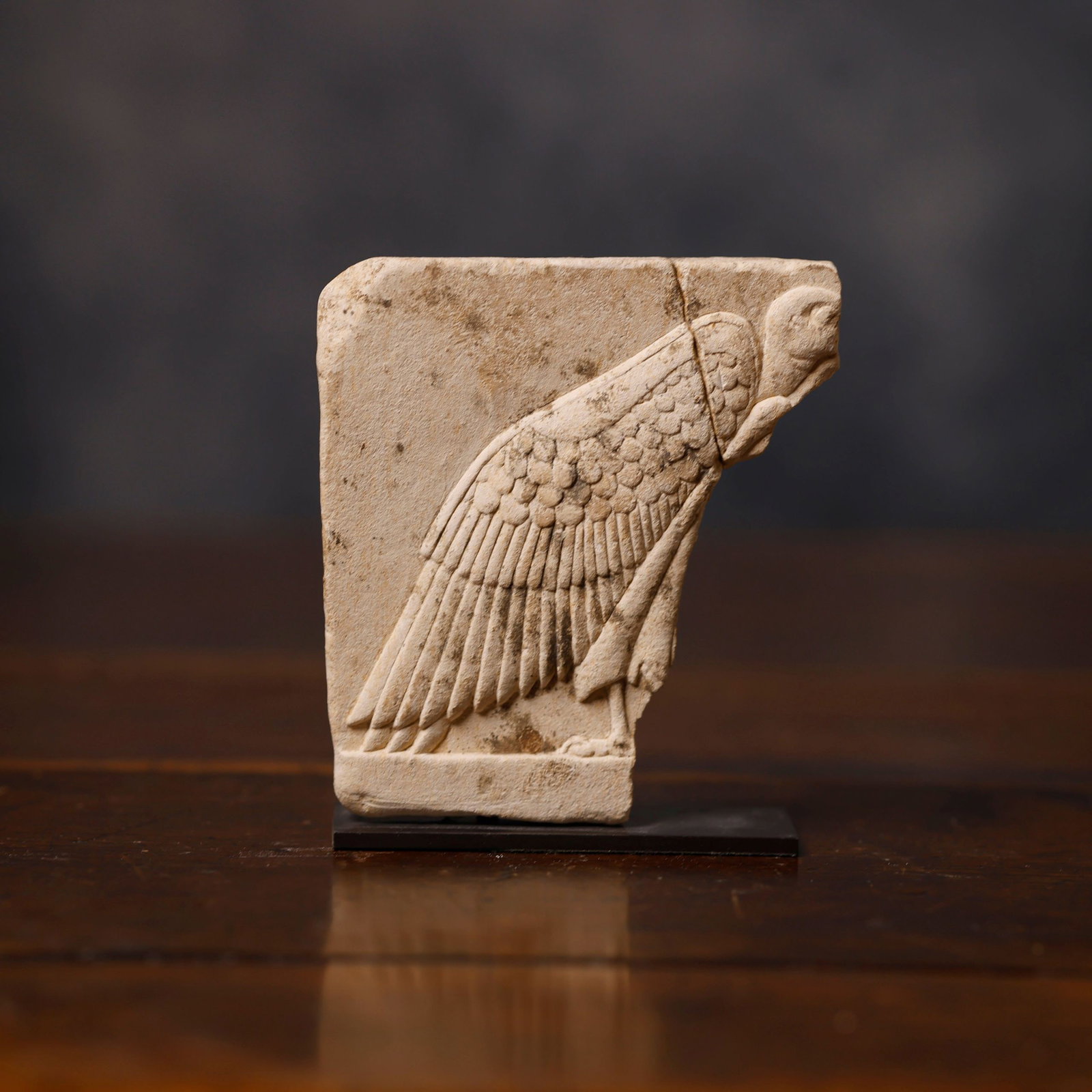Exceptional Egyptian Vulture Fragment in stone - Ancient Egyptian - PTOLEMAIC PERIOD (332 - 30 BC): Ptolemaic Period (332 - 30 BC). 8.7 x 8.1 x 1.2 cm. Provenance: Howard Nowes, New York, later Barbagelata Collection. The vulture is depicted with meticulous carving of the feathers, differentiating t