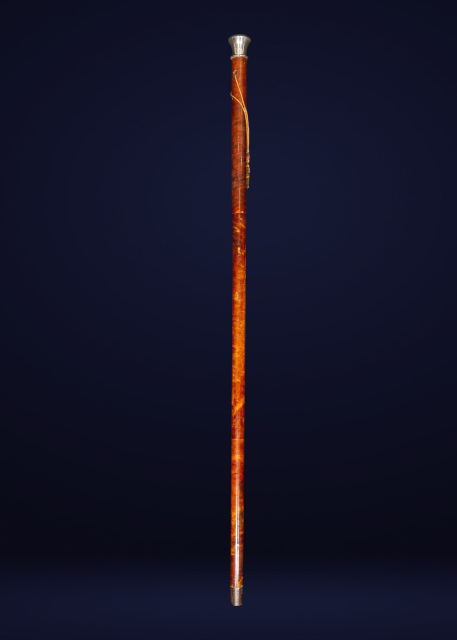 Tortoiseshell and silver walking stick, European School, 19th Century (1 of 3)