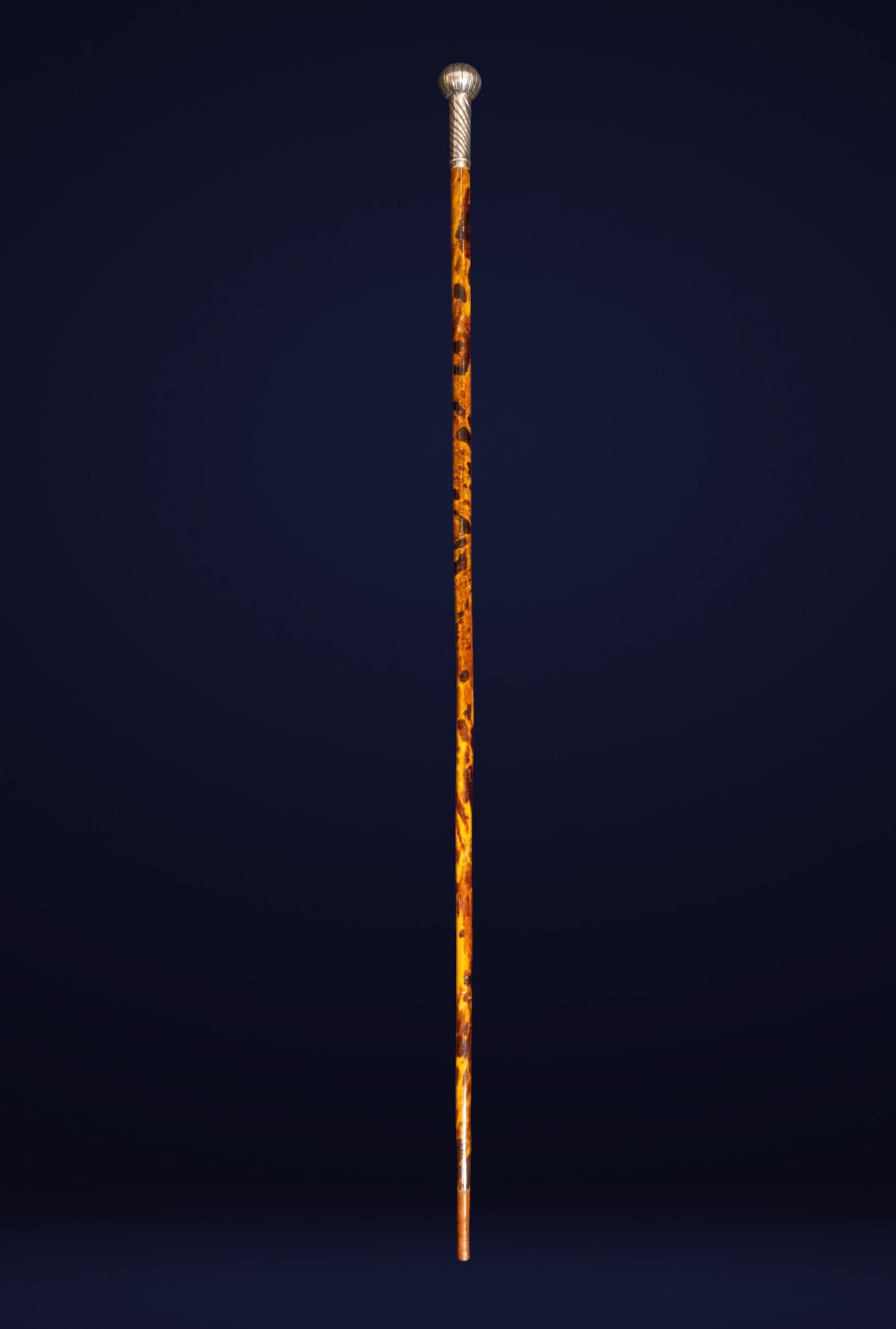 Tortoiseshell and silver cane with hallmark, European School, 19th Century (1 of 4)