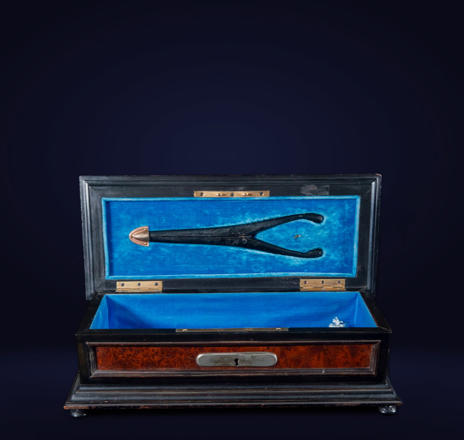 Elegant Box for Ladies' Gloves, in ebony and walnut root from the 19th century (1 of 5)