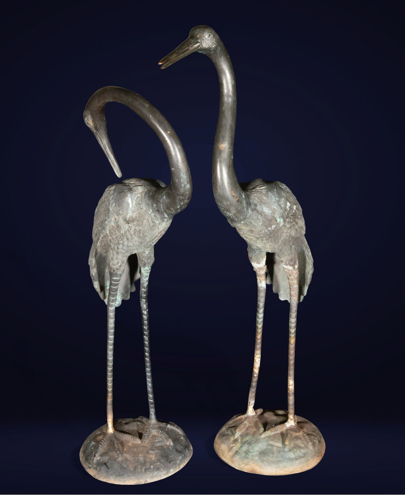 Pair of Large Garden Herons in life-size bronze: Bronze. Measures 100 x 40 x 18 cm. Pair of wading birds with long necks and stylized legs, arranged on oval bases. One tilts its neck downwards and the other raises its head, creating a balanced compo