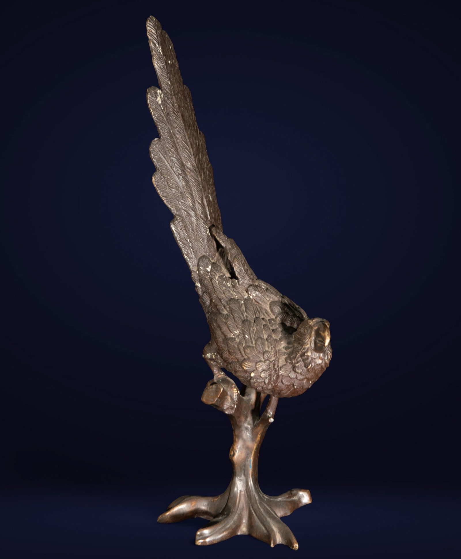 Macaw. French School. 20th Century: Bronze sculpture. Dimensions: 76 x 21 x 27 cm. Depiction of a macaw perched on a branch, modeled with great precision in its plumage and posture. Captured in a watchful attitude, the bird stands out f