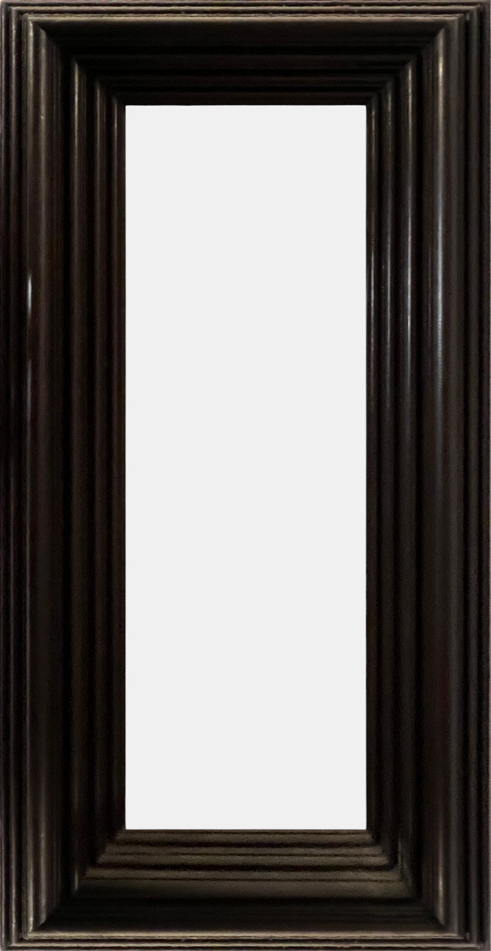 Ebonized wood frame, early 20th century: Lux back (canvas measurement): 78 x 24 cm, external: 97 x 41 cm