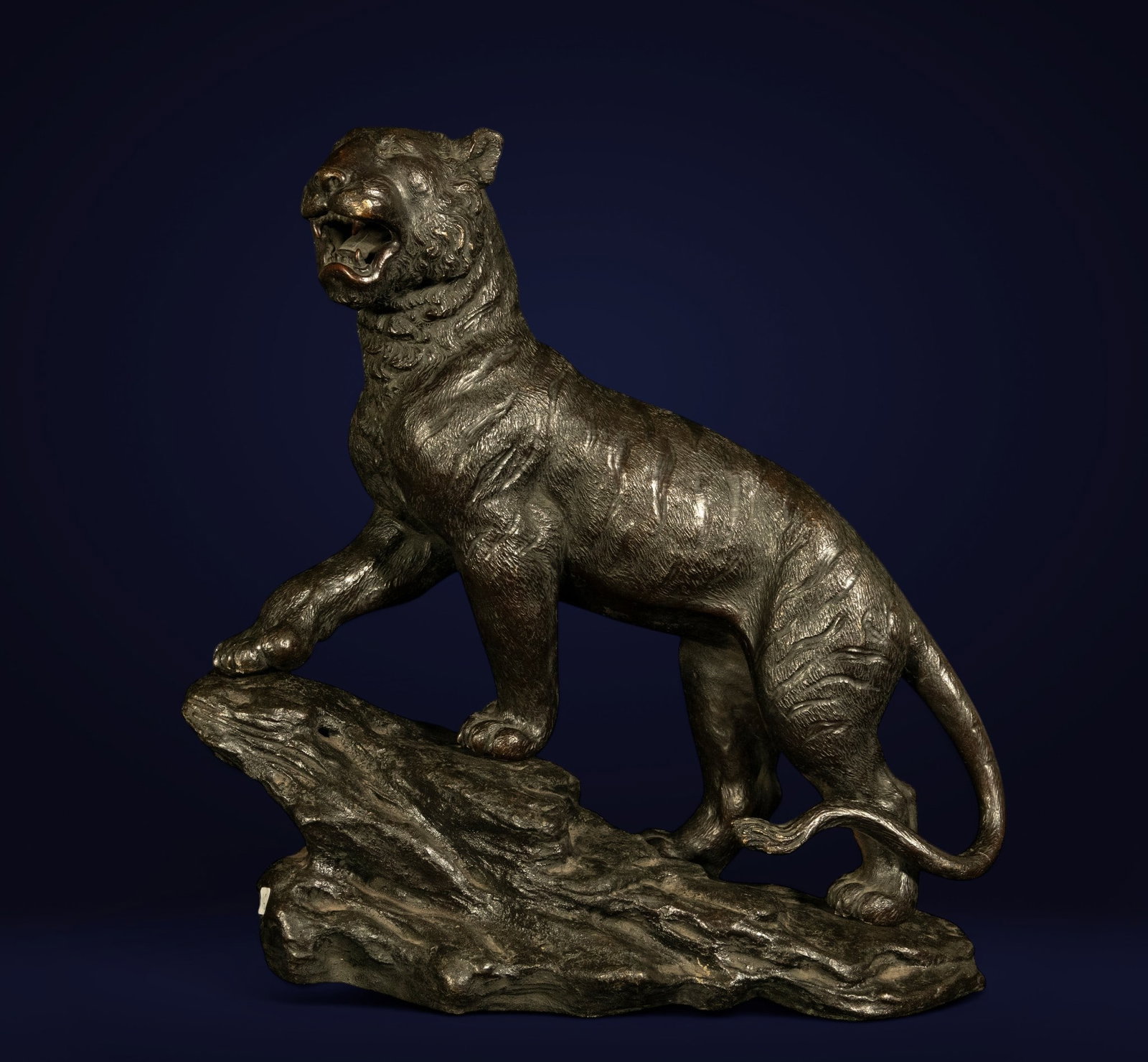 Important patinated bronze tiger, Meiji period, Japan, 19th century (1 of 8)