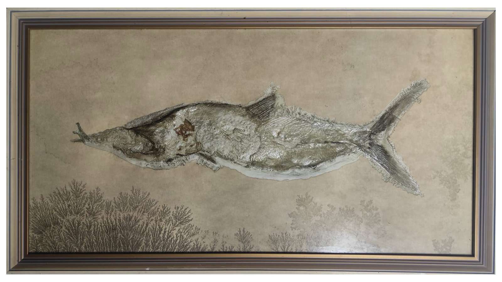 Decorative fish in mixed media, framed, 20th century: 69x38cm framed