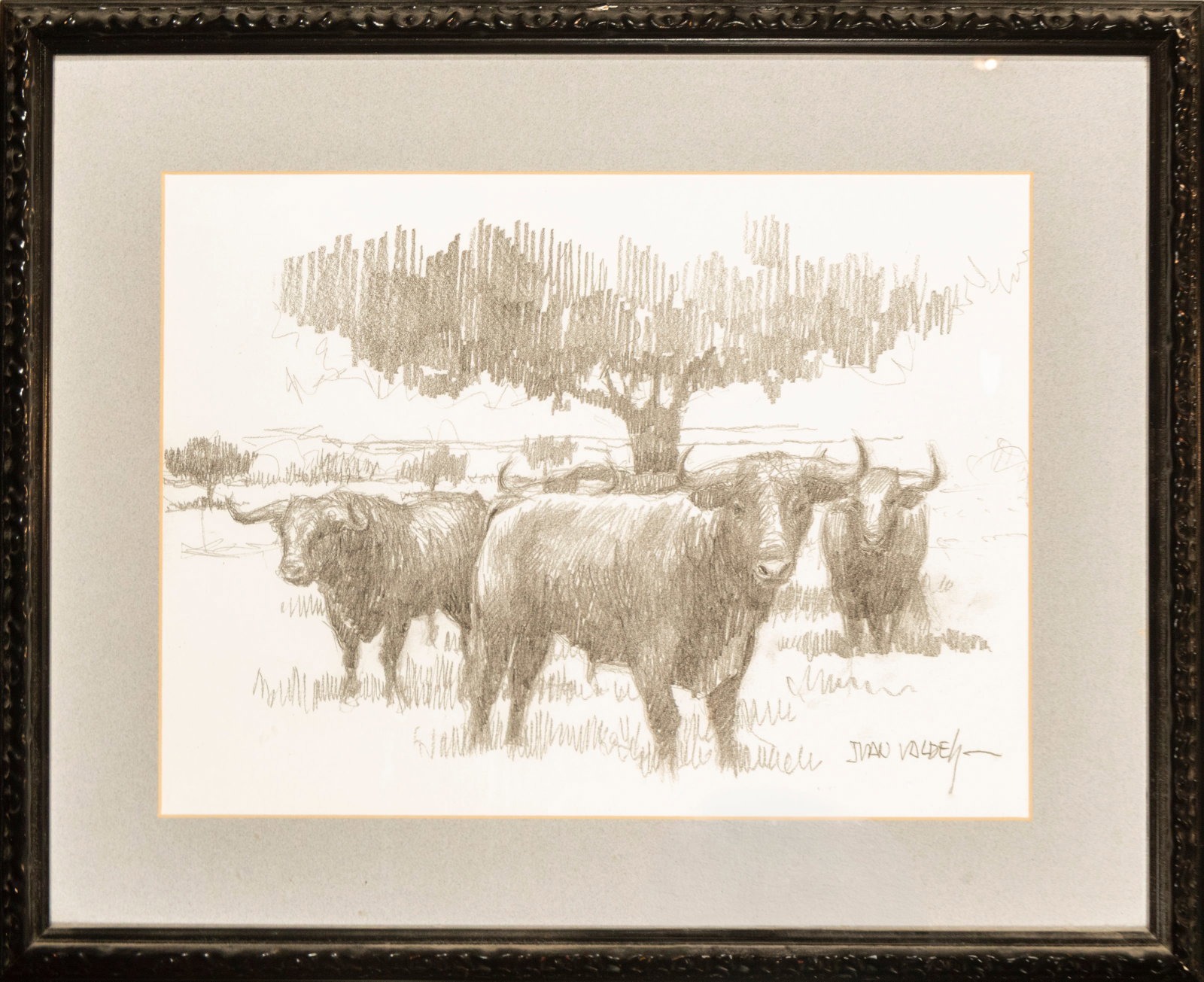 In the Dehesa, signed Juan Valdés, Spanish School, 20th Century: Paper and pencil. Dimensions: 54 x 44 cm. Drawing of several fighting bulls in a pasture under the canopy of a holm oak, rendered with a concise and confident graphic style. The volume of the animals 