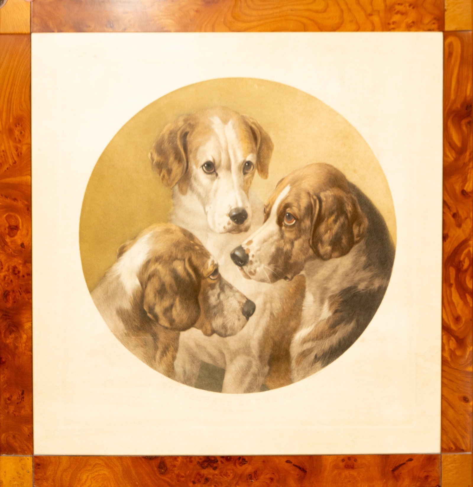 English engraving of Pointer dogs. Signed. 20th century: Colored etching on paper. Measures 53 × 54 cm; framed 83 × 81 cm. This circular print features three hunting dogs rendered with great naturalism and delicate tonal modeling. The composition is notab