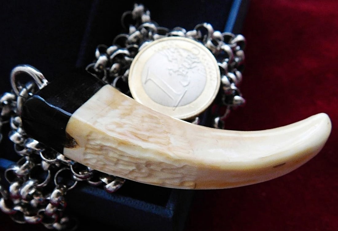 Necklace and pendant made of natural tusk and 925 sterling silver: Natural tusk and 925 sterling silver. Unisex vintage necklace featuring a 73cm round link chain with no gaps and a large natural tusk pendant. It has a lobster clasp. Hallmarks and hallmarks: all in 9