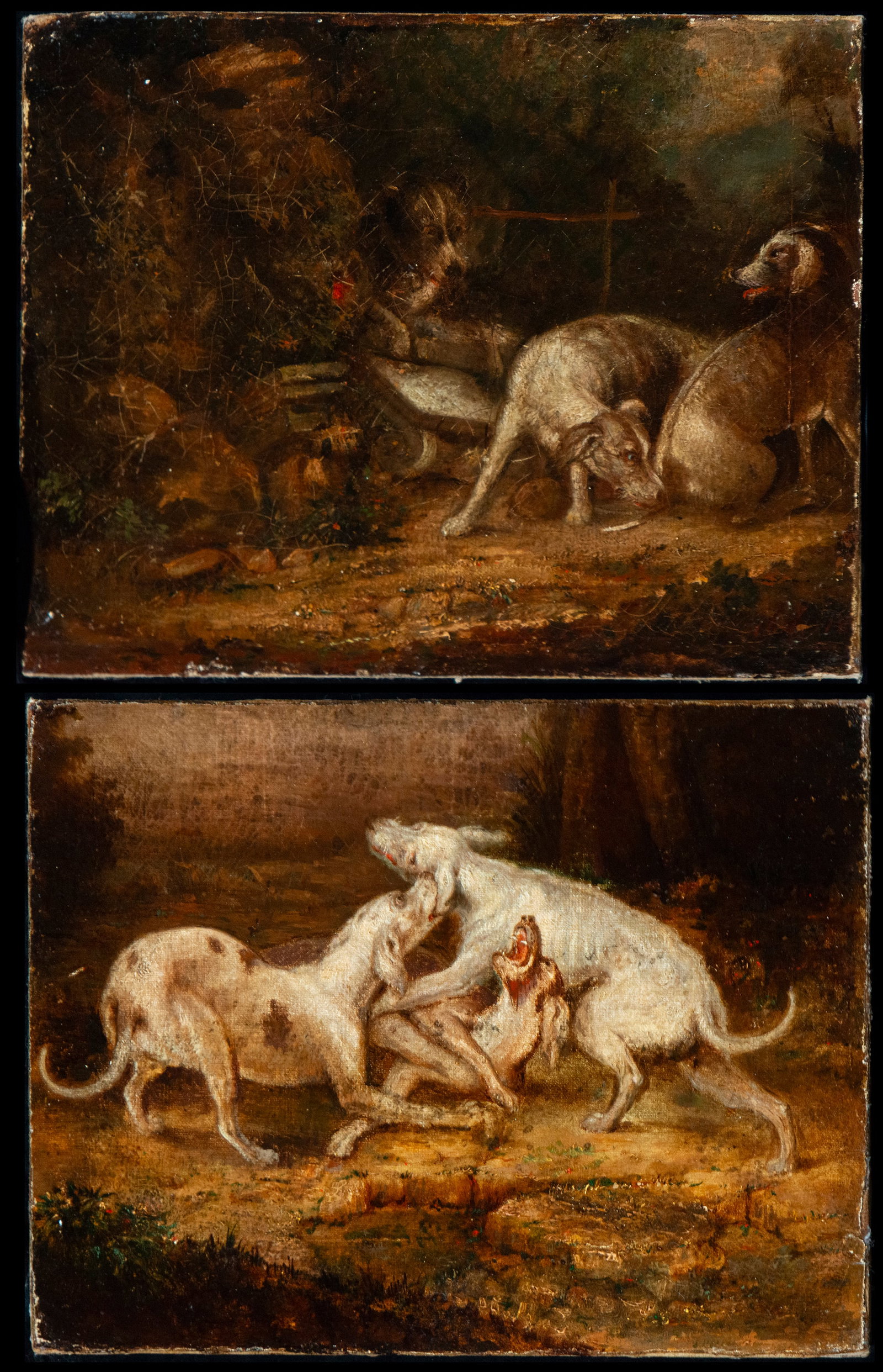 Pair of scenes of Hunting Dogs, French or Dutch school of the 18th century (1 of 6)