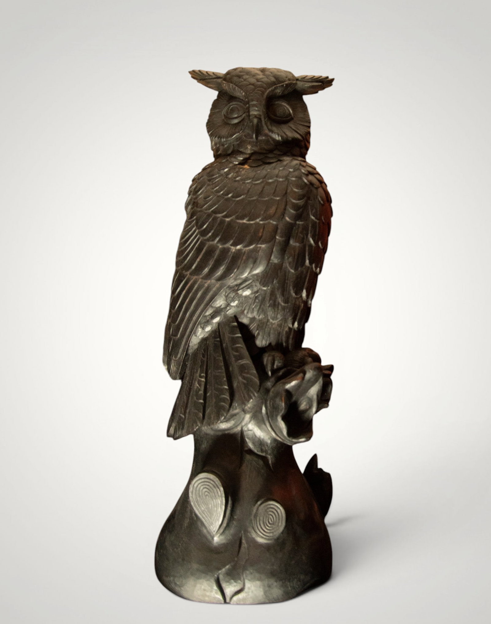 Rare Black Forest Owl, early 20th century: 50 x 20 cm
