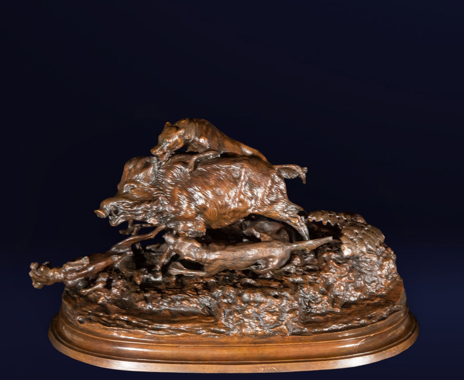 Wild boar being caught by dogs. Signed Paul, 19th-20th century: Bronze sculpture group. Dimensions: 38 x 52 x 26 cm. A powerful hunting scene depicting the moment the dogs seize the boar. The group is characterized by energetic modeling, a strong sense of tension,