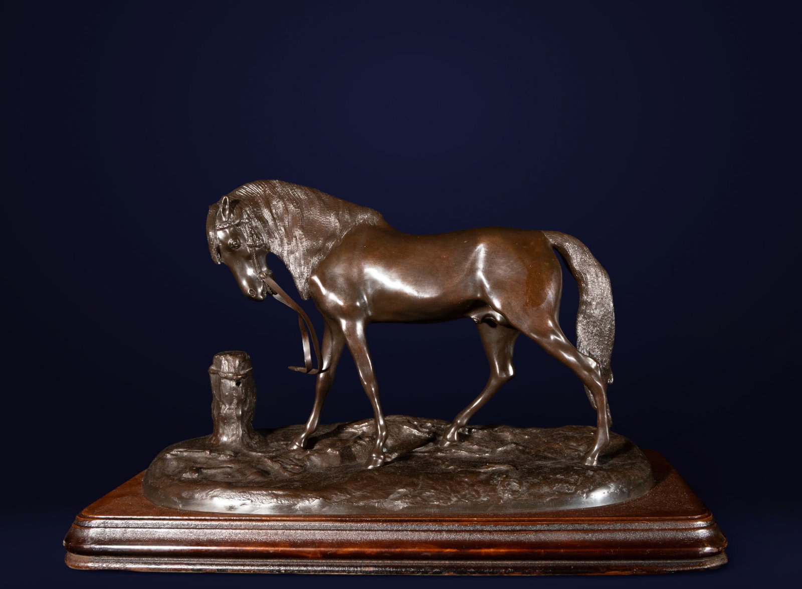 Grazing horse, European Realist School, 19th - 20th Century (1 of 4)