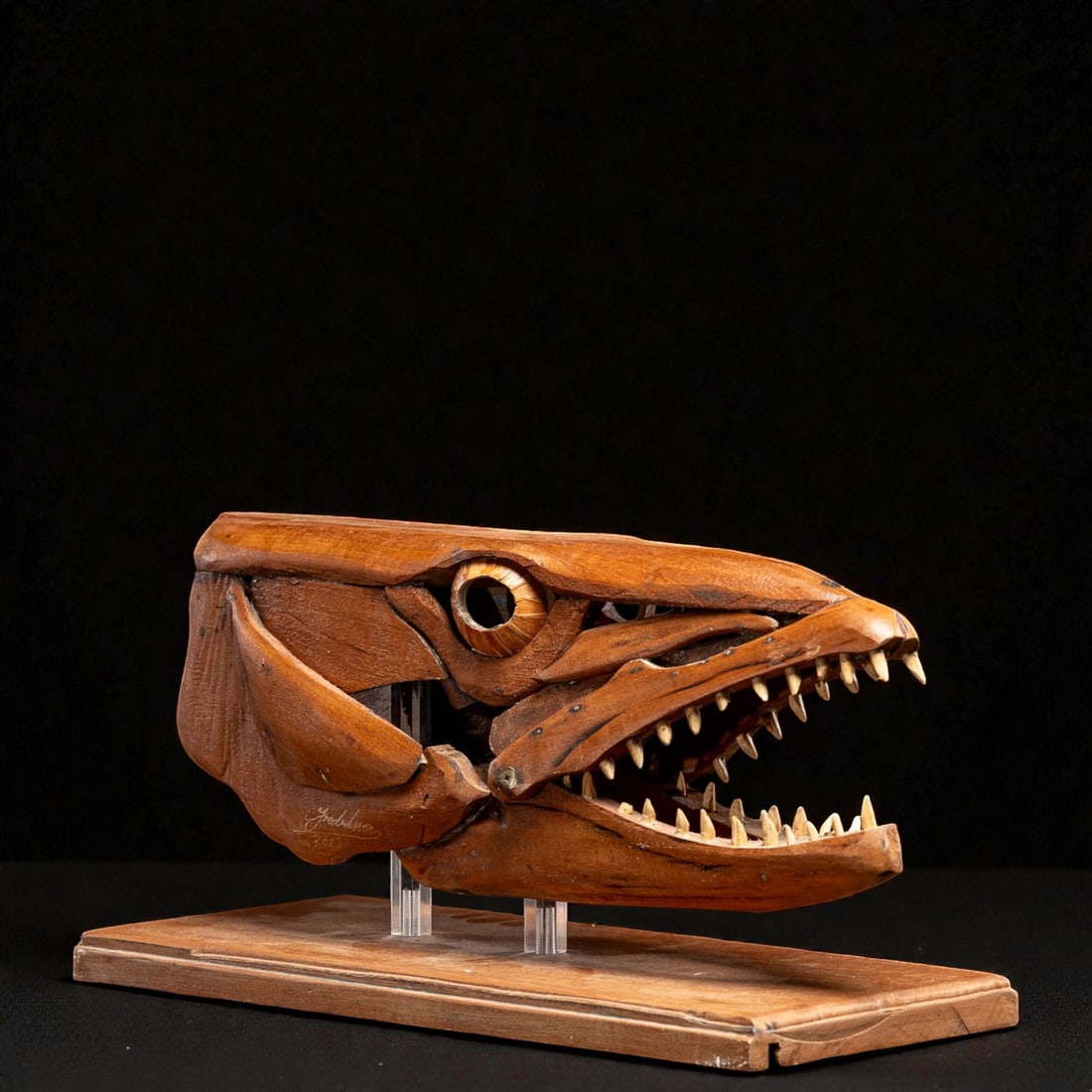 Sculpted barracuda head. United States, 20th century: Wood. Dimensions: 41 × 21 × 17.5 cm. Decorative wood carving depicting the head of a barracuda with its mouth open, conceived as a stylized anatomical study with a strong visual impact. The piece co