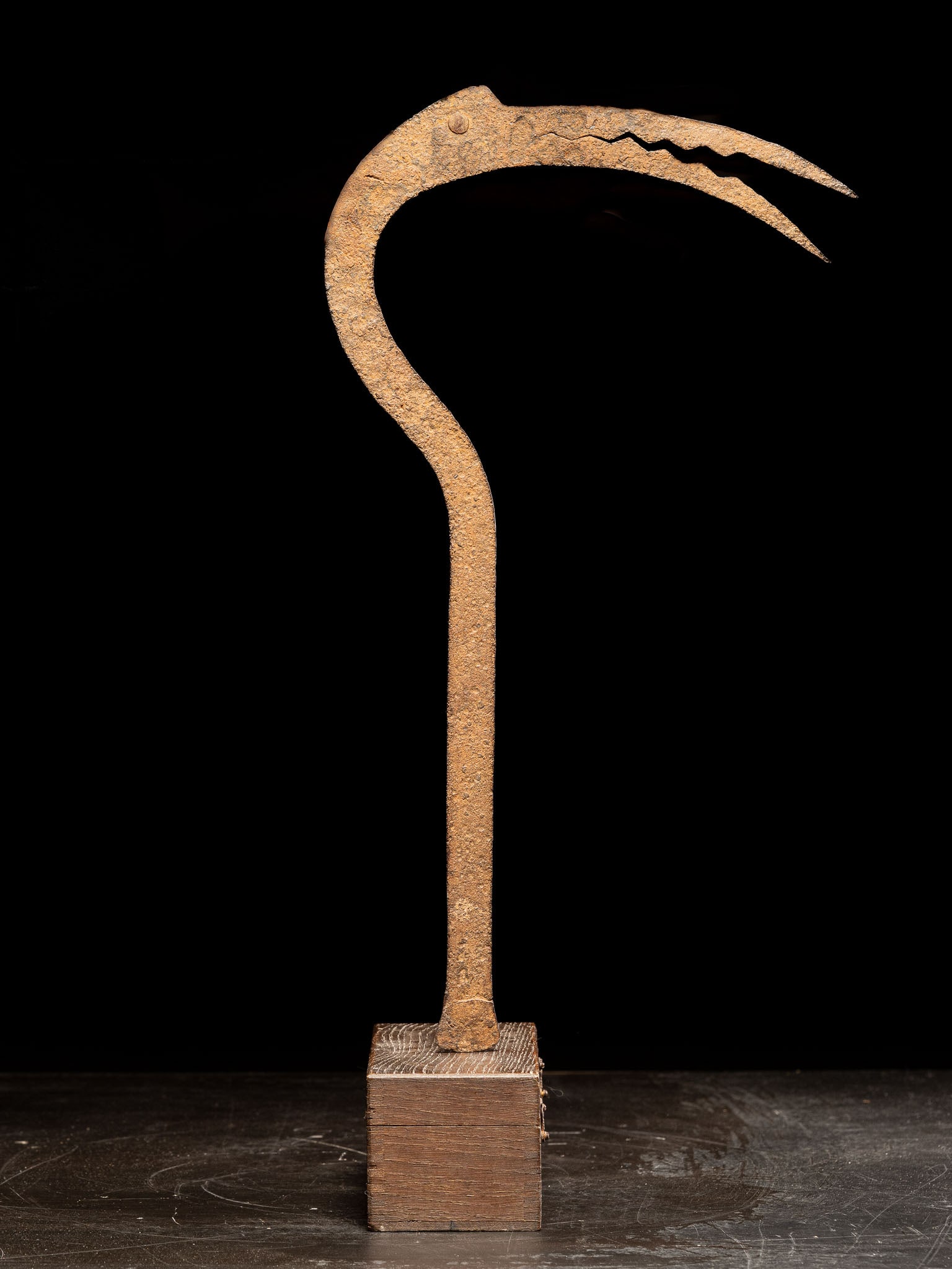 Throwing knife-coin. Matakan village, Nigeria. 19th–20th century: Iron. Measurements: 51 cm. Wrought iron object used as traditional currency and a symbol of value within the economic and ritual systems of the Matakan people. These pieces combine a form derived from