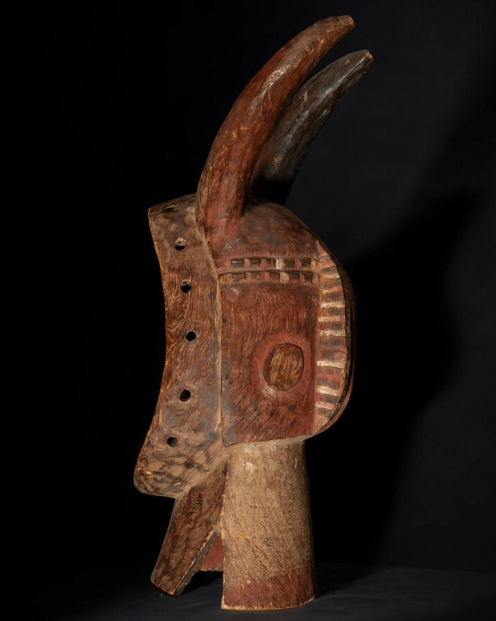 Large African Senufo Bull Mask, Ivory Coast, 20th century: 55 x 20 x 22 cm