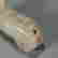 item-130744616=8