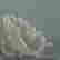 item-130744832=4
