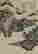 item-130744916=7