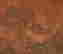 item-136511052=4