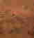item-136511052=7