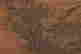 item-136511134=3