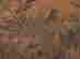 item-136511134=8