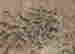 item-136511157=4