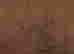 item-136511159=5