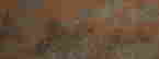 item-136511160=4
