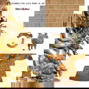 Hotspot Auction Cover