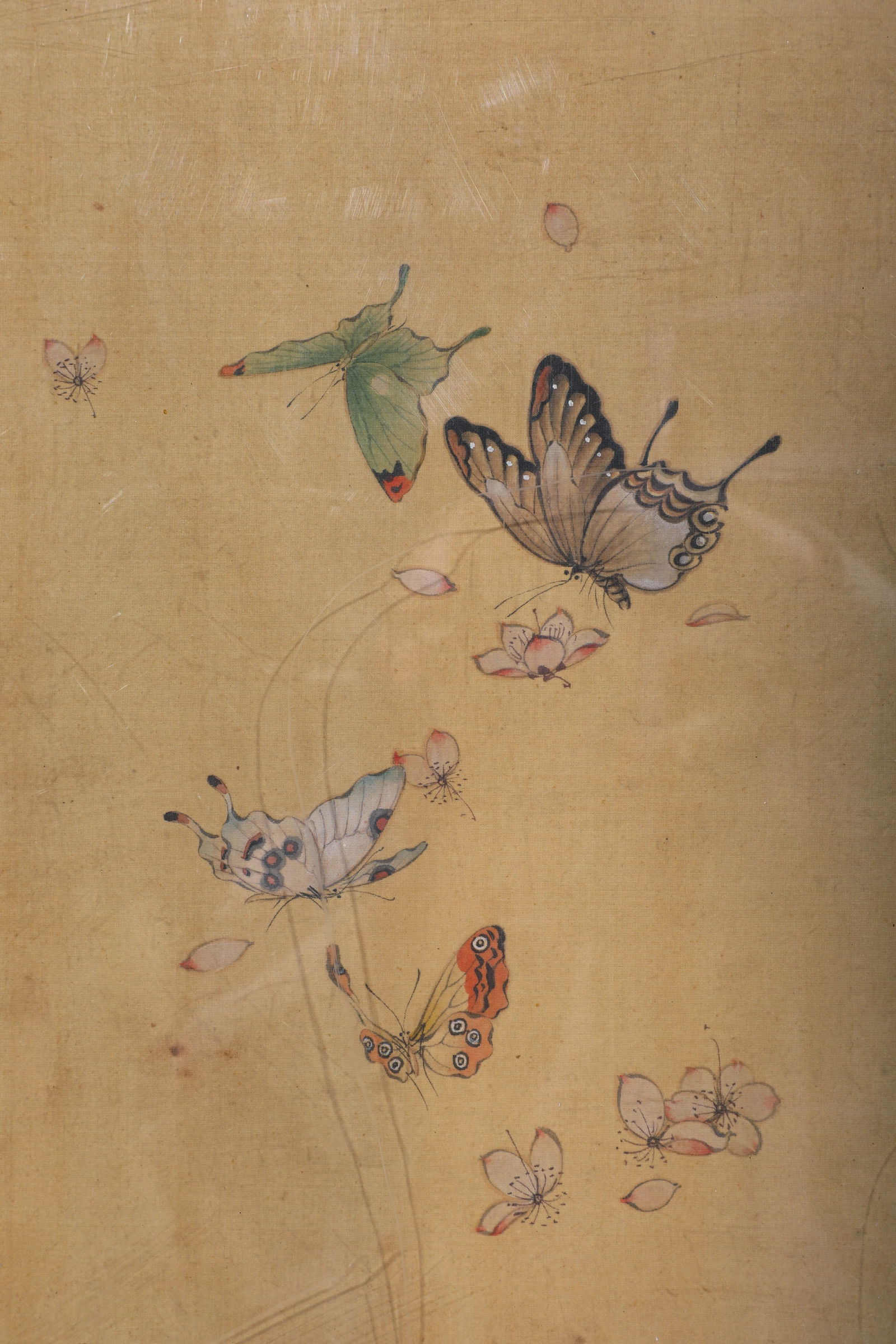 PU RU, BUTTERFLY FRAME - 2