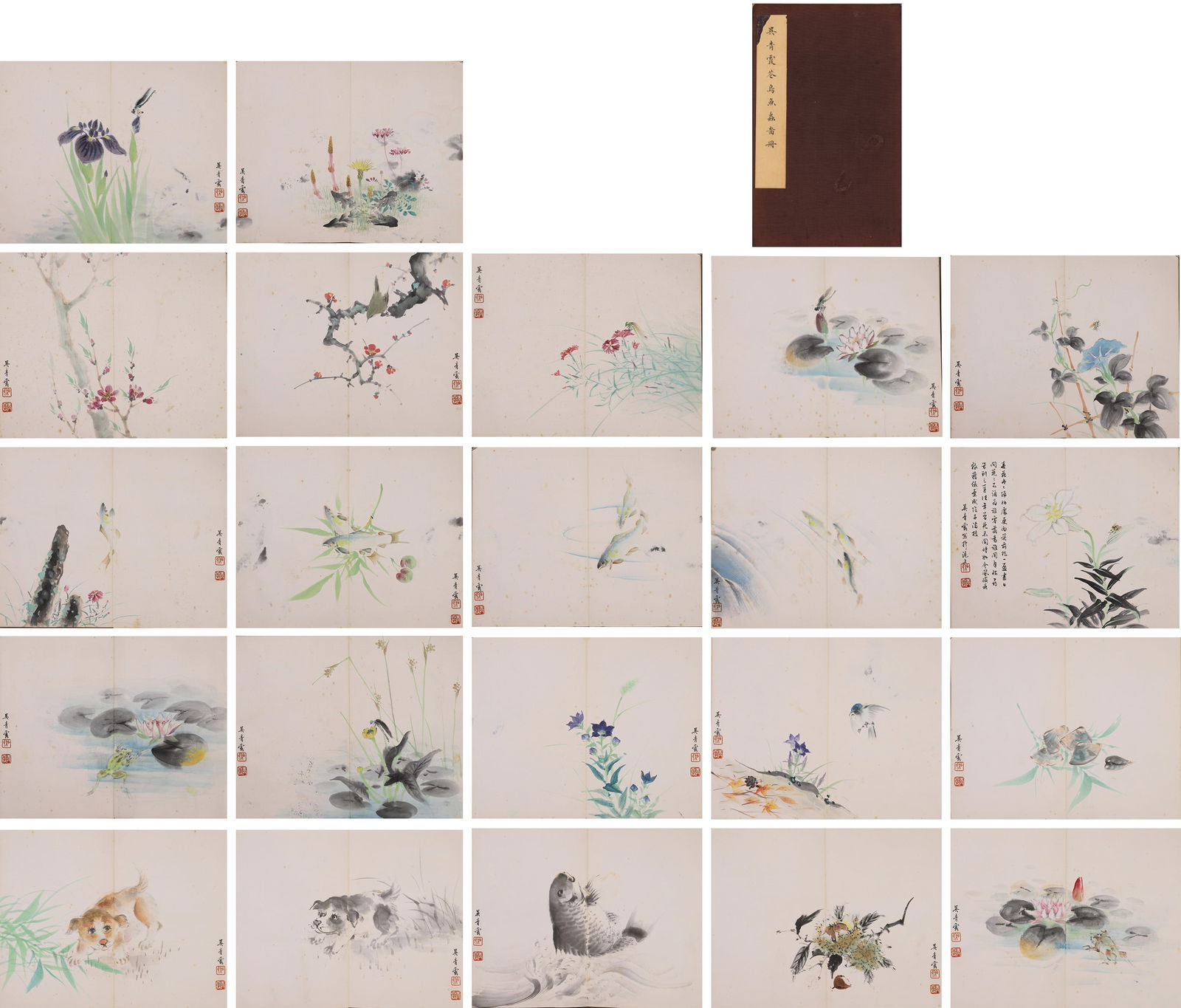 ALBUM OF FLOWERS, BIRDS, FISH AND INSECTS (22 LEAVES) BY WU QINGXIA, MODERN CHINESE PERIOD: Paper Texture, Painting Core: 14.17" x 11.42" (36.0cm x 29.0cm)A fine album by Wu Qingxia, blending meticulous and freehand styles. It depicts flowers, birds, fish and insects with delicate brushwork