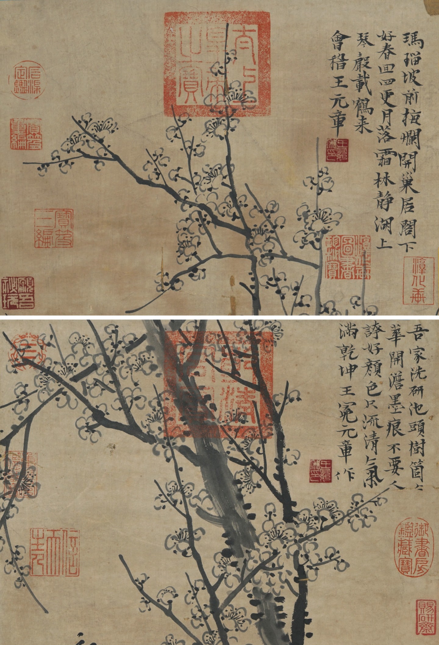 Four Hanging Scrolls of "Plum Blossoms in Four Seasons" by Wang Mian, Yuan Dynasty - 9