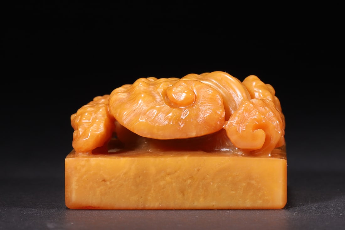 A Tianhuang Stone Ganoderma Seal, Qianlong Period, Qing Dynasty - 5
