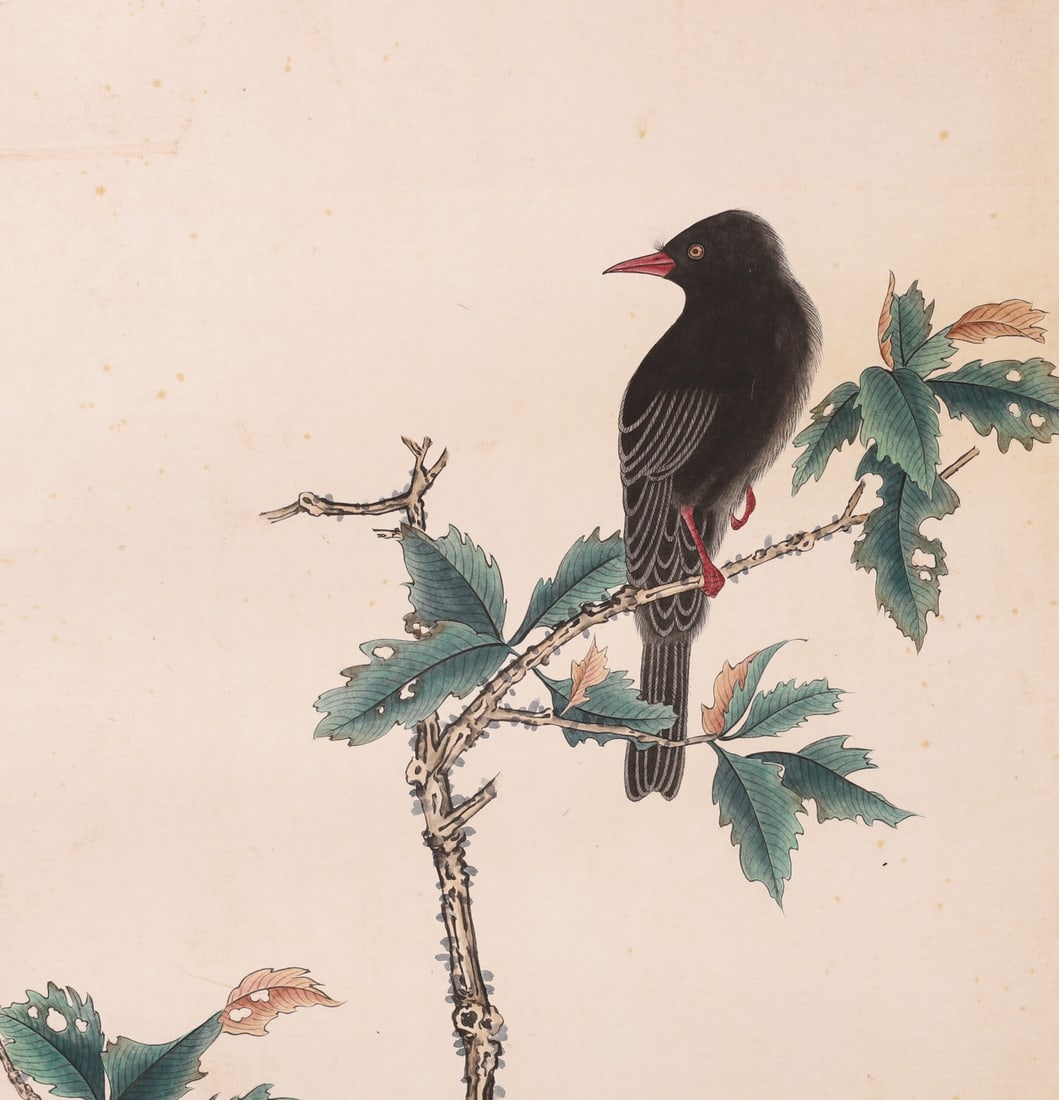 A Paper Color Painting "Bird on Branch" Signed Zhang Daqian, Modern Era - 3